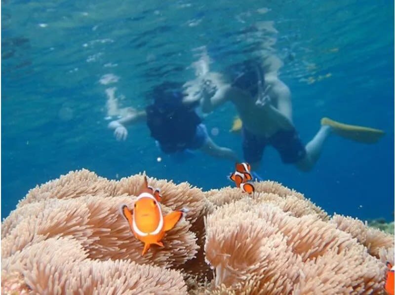 Ishigaki Island Marine Sports - The boat ride and the two planned snorkel stops