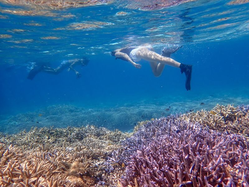 Ishigaki Island: "Phantom Island" Landing & Snorkeling & Mangrove SUP or Canoe Experience (Okinawa) - The Miyara River Offers a Different Side of Ishigaki