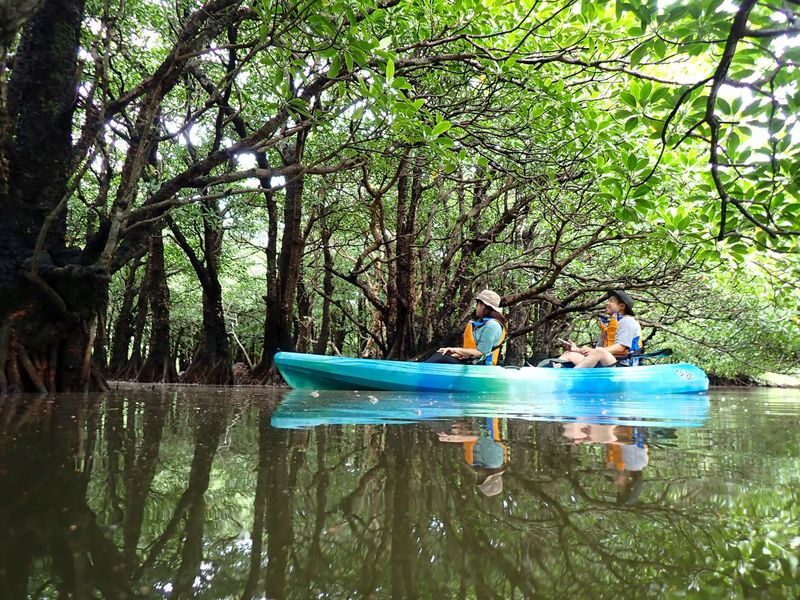 Ishigaki Island/Private Kayak Tour: Beautiful Ocean Kayak or Mangrove Kayak (Tour Photos Included/Free Transportation) - What the three-hour outing feels like