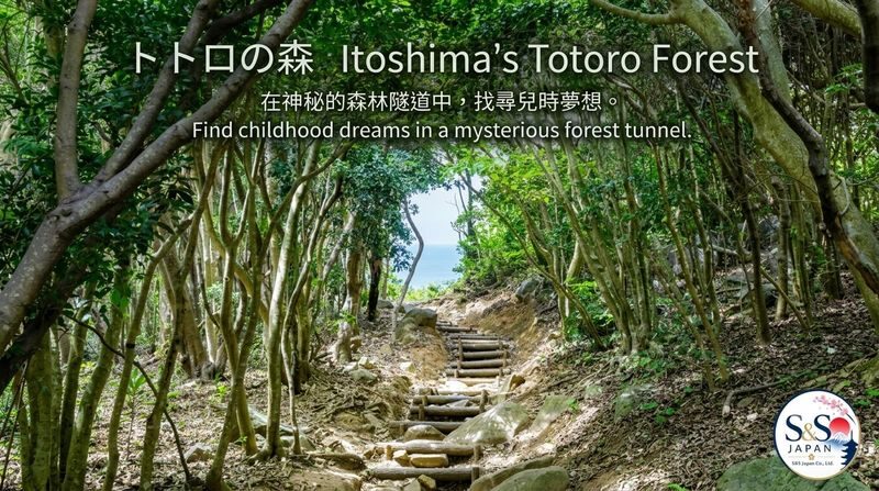 Itoshima Sunset & Fukuoka Tower Night View Experience - What Itoshima’s coast adds to the day