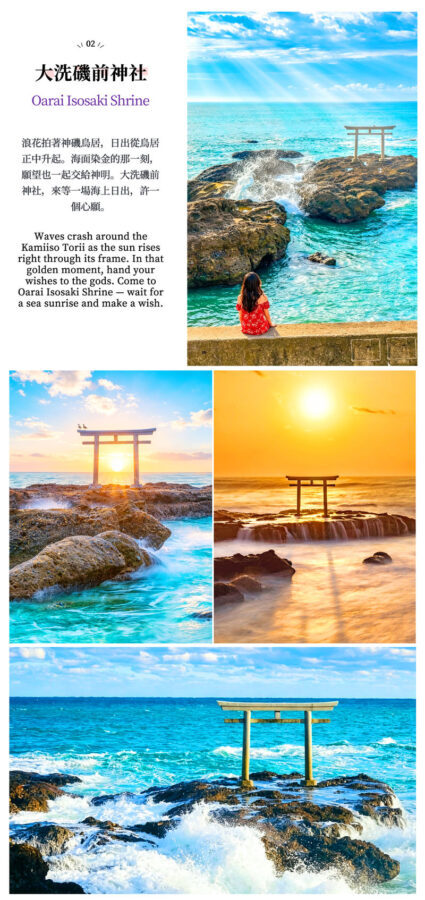 Japans Top 3 Illumination Shows: Ashikaga Flower Park & Ibaraki Ocean View Day Trip (Departing from Tokyo) - Sakatsura Isozaki Shrine and its sea-facing torii