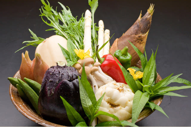 Japanese Kyoto Cuisine Dining Experience - Hanasaki (Gion, Kyoto) - What the courses are meant to offer