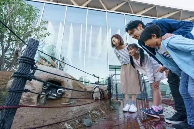 Joetsu City Aquarium Umigatari Admission Ticket (Niigata) - The Sea of Japan Terrace and the large tank