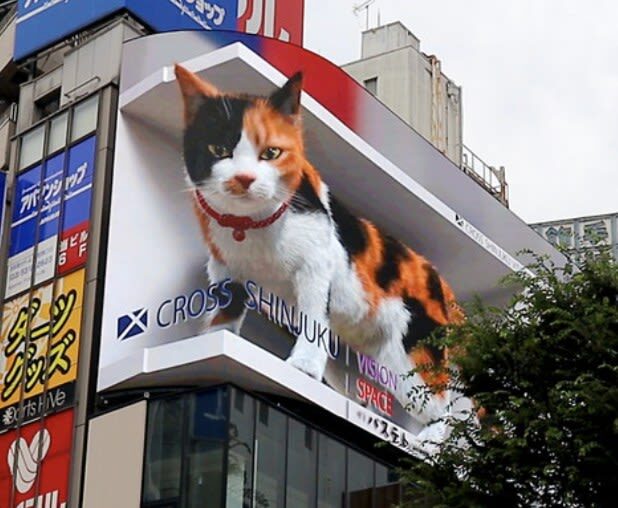 Kabukicho & Shinjuku Golden Gai Half-day Guided & City Highlights Tour - Why the guide may be the main event