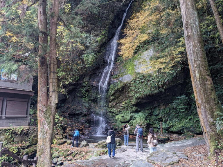 Kagawa/Kotohira Departure/Arrival: Half-Day Bus Tour of Secret Scenery: Oboke Gorge & Kazura Bridge - Kazurabashi: The Main Event