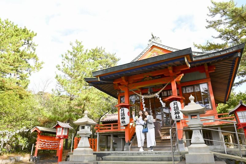 Kagoshima Sakurajima Half-Day Volcano Tour - Volcanic ash becomes part of the experience