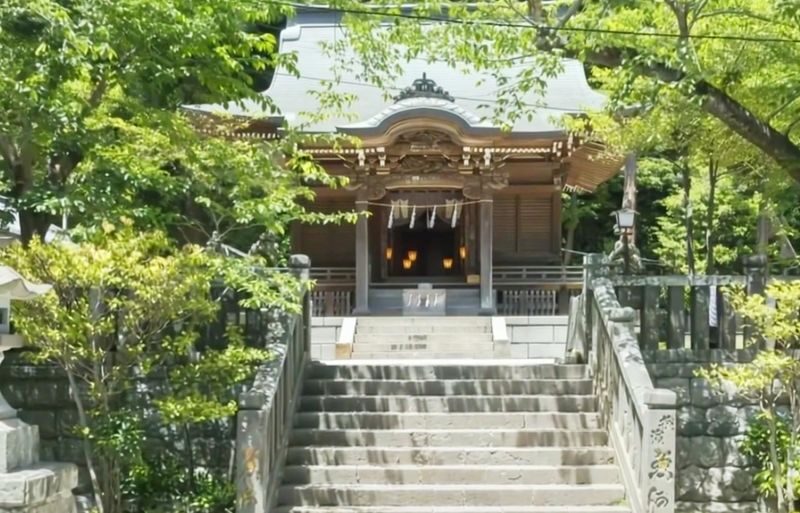 Kamakura All-Access | Gokuraku-ji Temple, Goryo Shrine, and Enoshima Island Day Trip - Goryo Shrine: flowers, tracks and a torii gate
