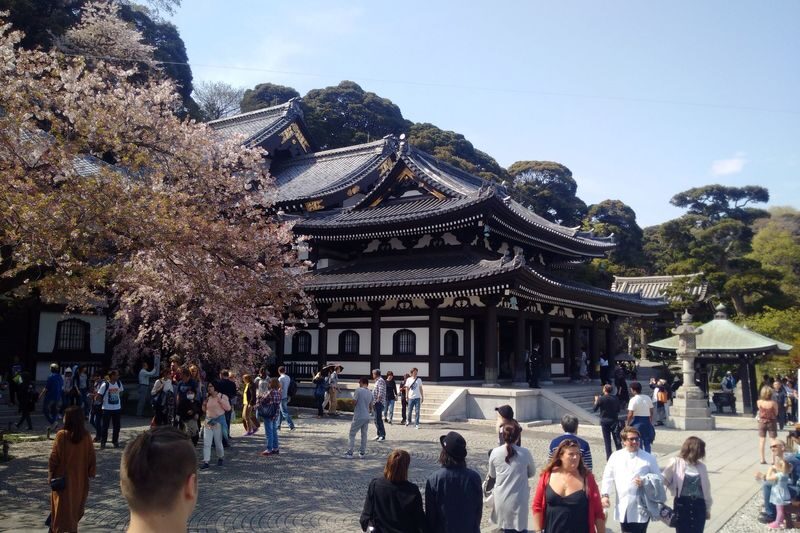 Kamakura & Enoshima Island Full-Day Private Tour - Starting with Engaku-ji’s quiet temple grounds