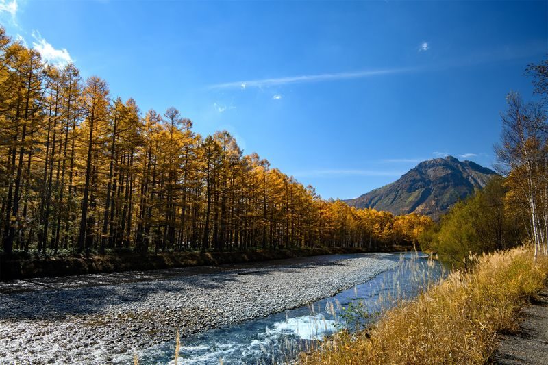 Kamikochi & Shirakawa-go & Hida Takayama & Gujo Hachiman Old Town 2-Day Tour (Departing from Nagoya/Includes Accommodation + Breakfast) - Takayama: wooden streets before check-in