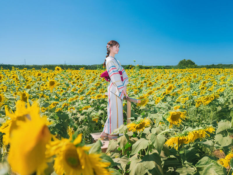 Kanazawa Kimono Street-Walking Plan [Kanazawa Kimono Karen] - Walk Near Kenrokuen at Your Own Pace