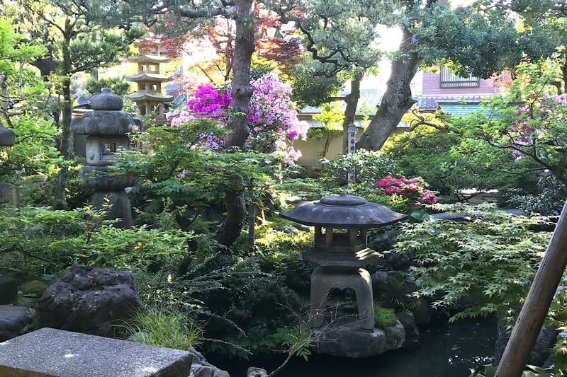 Kanazawa Private Tour: Highlights of an Old Samurai Town - Omicho Market: a lively start to the day