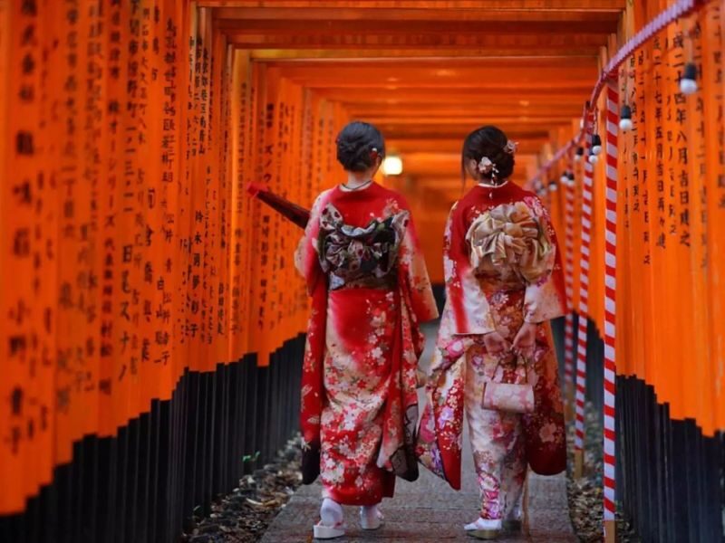 Kansai Private Chartered Car Custom Day Tour: Osaka & Kyoto & Nara & Kobe & Awaji Island & Amanohashidate & Lake Biwa (Departing from Osaka) - Driver, guide or both?
