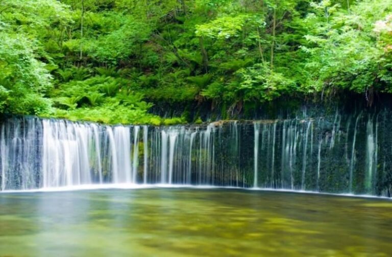 Karuizawa Day Tour | Shiraito Falls-Kumoba Pond-Old Karuizawa Ginza Street-Karuizawa Outlet | Depart from Shinjuku - Shiraito Falls: a short stop with a distinctive source