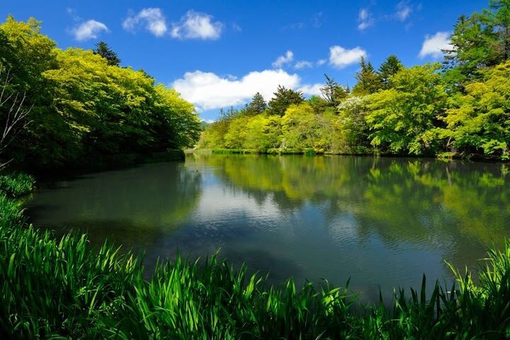 Karuizawa Day Trip: Shiraito Falls + Kumoba Pond + Outlet Shopping (Departing from Tokyo) - Shiraito Falls: the nature-first stop