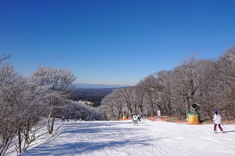 Karuizawa Prince Hotel Ski Lift Ticket - What the one-day ticket covers