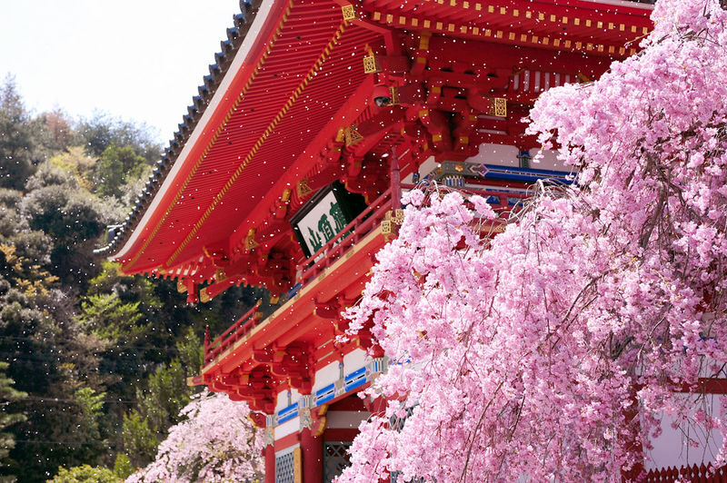 Katsuo-ji Temple Ticket (Optional Osaka Metro Pass) - Let the season set the mood