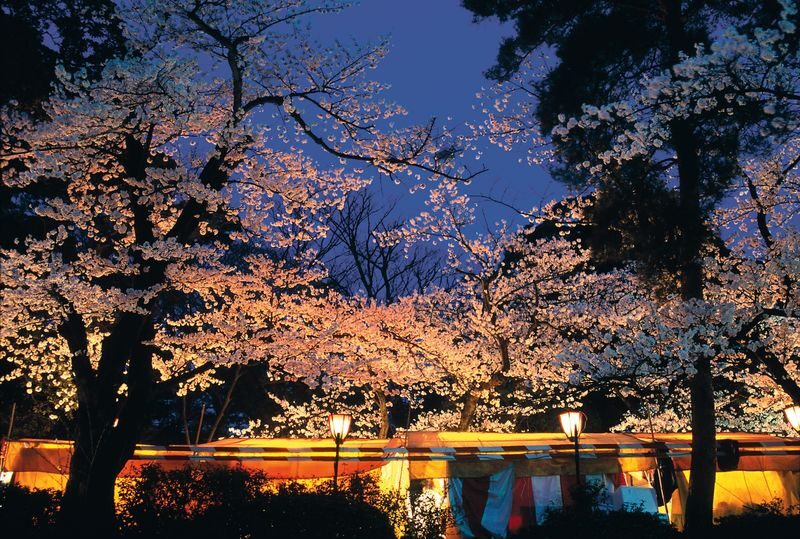 Kenrokuen Garden Admission Ticket - What your visit looks like