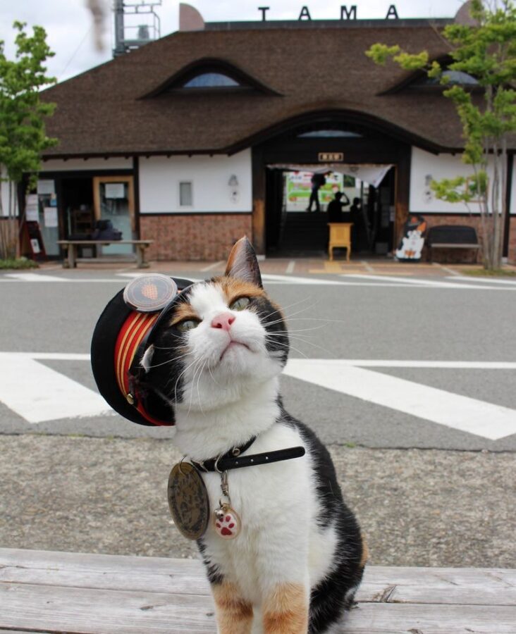 Kishi Station & Shirahama Full-Day Private Charter Tour - A private charter changes the feel of the day