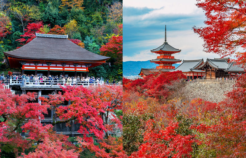 Kiyomizu-dera, Kinkaku-ji, and Fushimi Inari One-Day Tour - Kiyomizu-dera and Ninen-zaka: start with Kyoto’s old streets