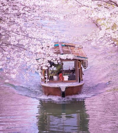 Klook Exclusive: Kyoto Fushimi Jikkokubune Half-Day Small Group Cherry Blossom Tour - Chokenji Temple and the canal-side walk