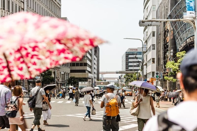 Kobe Half-Day Private Shinto Shrine and Kobe Beef Tour - The Kobe beef title needs a closer look