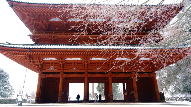 Koyasan & Okunoin Small Group Day Tour from Osaka - Gates, temples and Koyasan’s spiritual center