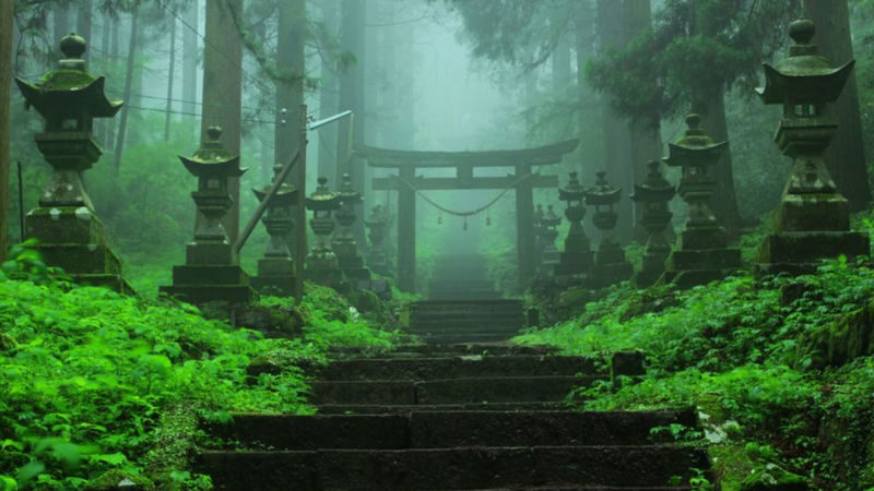 Kumamoto Departure Aso Area Chartered Car Day Tour | Kumamoto Castle | Mount Aso Crater | Kusasenri | Kamishikimi Kumanoza Shrine | Shirakawa Spring Source | Aso Shrine | Daikanbo | Nabe Falls | Kurokawa Onsen, etc. - Mount Aso and Kusasenri: the main event