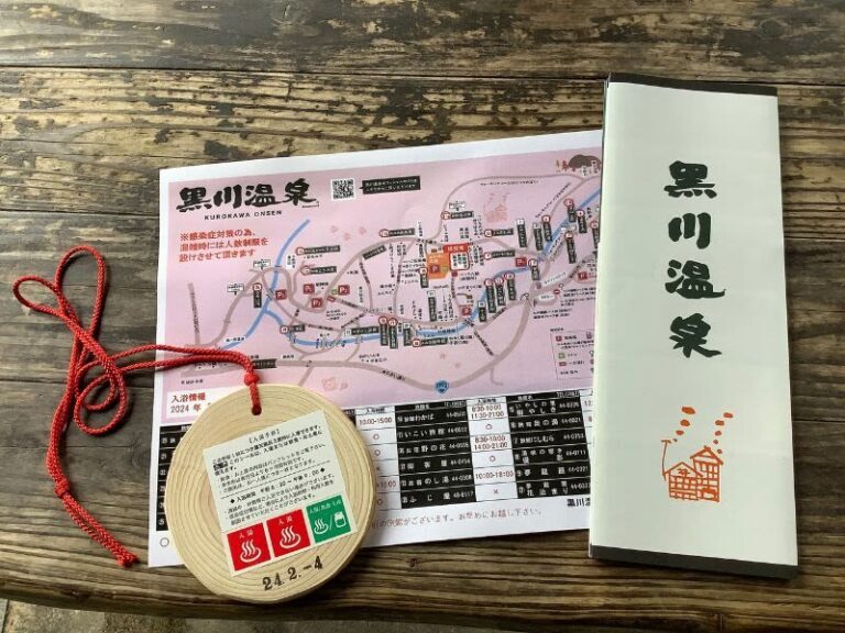 Kurokawa Onsen & Tofu Cuisine Kissho 1-Day Onsen & Gourmet Tour - Arriving at Kurokawa Onsen