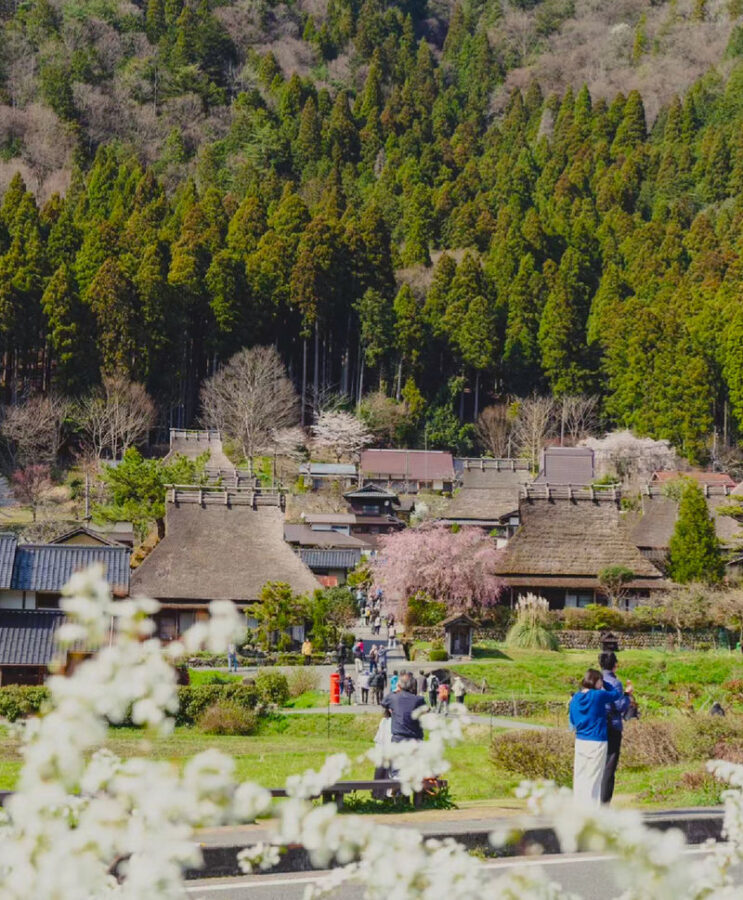 Kyoto Amanohashidate & Ine Funaya Day Trip (Optional Tango Train and Miyama Route) - The Tango Railway makes the journey part of the trip
