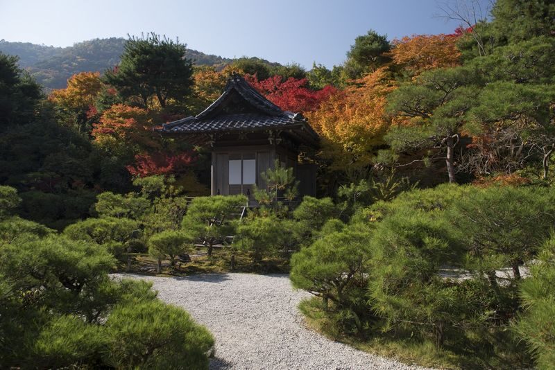 Kyoto Arashiyama Bamboo Forest & Togetsukyo Bridge Half-Day Small Group Tour - Togetsukyo Bridge adds a different view