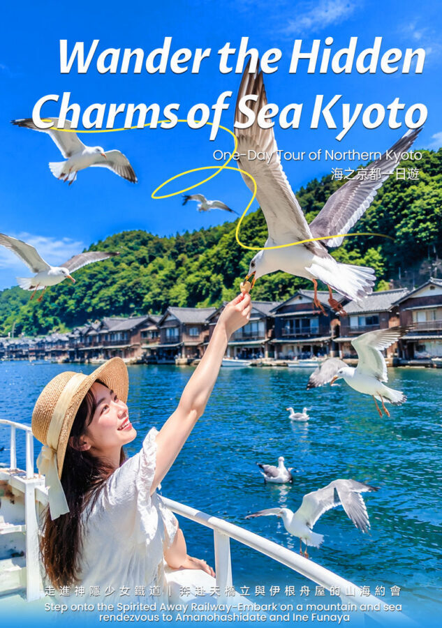 Kyoto Coast Fairytale Journey: Sea Train & Amanohashidate & Ine Funaya One-Day Tour - Ine: boathouses built to meet the water