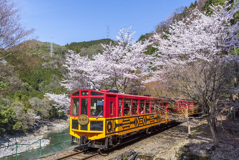 Kyoto Day Tour: Kyoto Carriage & Sagano Romantic Train & Hozugawa River Cruise - The Sagano train: a short ride with long views