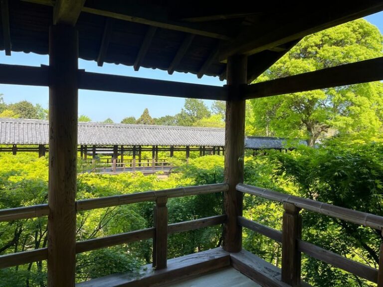 Kyoto E-Bike Tour of Hidden Gems and Temples South Route - Why the e-bike changes the ride