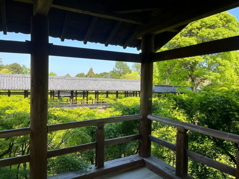 Kyoto E-Bike Tour of Hidden Gems and Temples South Route - Why the e-bike changes the ride