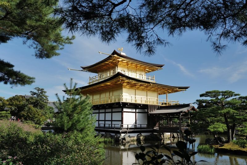 Kyoto Early Bird Tour Tokyo Round Trip Shinkansen Option - The Shinkansen makes Kyoto possible in a day