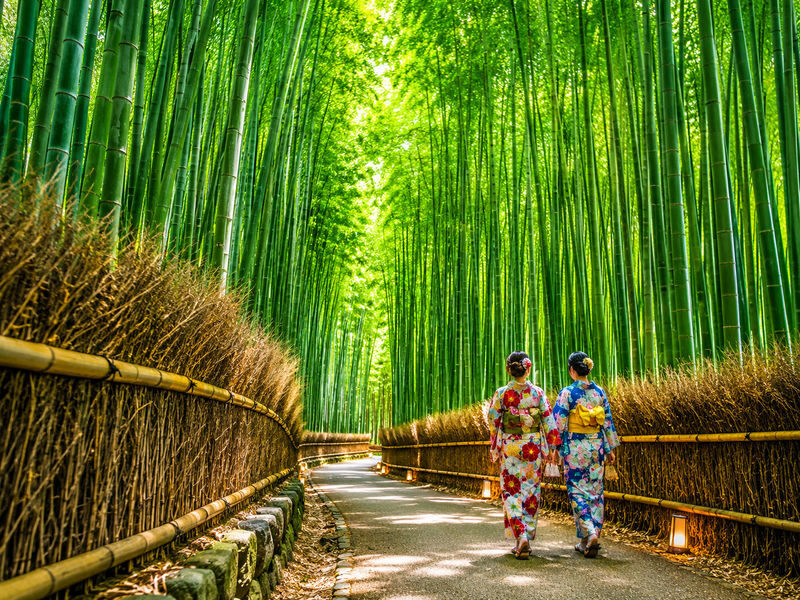 Kyoto Fushimi Inari, Arashiyama Bamboo Forest, Kiyomizu-dera Temple Day Trip from Nagoya (Choose one: A5 Kobe Beef Lunch or Pork Shabu-shabu) - Fushimi Inari Taisha: a memorable first stop
