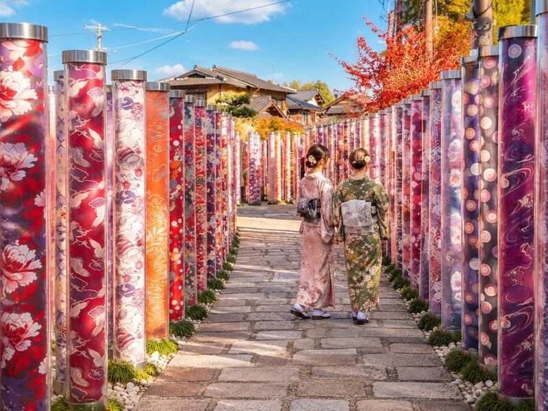 Kyoto Fushimi Inari Shrine Senbon Torii & Arashiyama Bamboo Forest Togetsukyo Bridge & Nara Park Todai-ji Temple One-Day Tour [Can upgrade to A5 Wagyu "Kobe Beef" (Departing from Osaka/Kyoto)] - Nara Park: deer, temples and a real choice