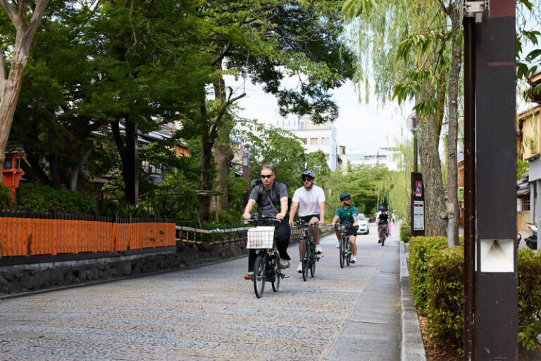 Kyoto Hidden Gems E-Bike Tour Through Backstreets & Temples - Backstreets, temples, and the value of moving slowly