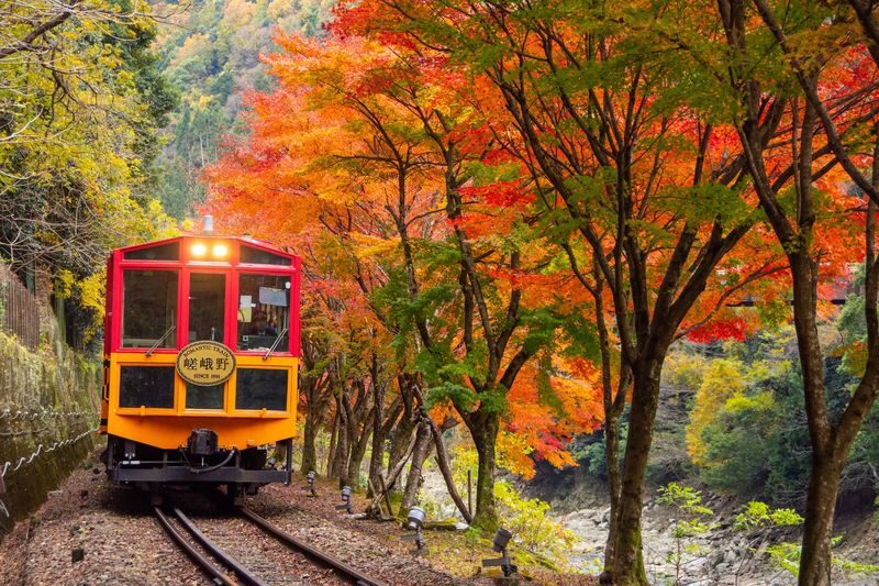 Kyoto Hozugawa River Boat Sagano Romantic Train Tour - Boarding the Sagano Romantic Train