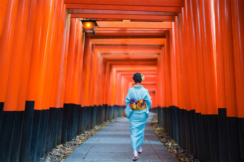 Kyoto In-Depth Tour: Nijo Castle + Kinkaku-ji (Golden Pavilion) + Fushimi Inari-taisha Shrine + Arashiyama Tenryu-ji Temple & Bamboo Grove One Day Tour | Departure from Osaka/Kyoto Available - Nijo Castle: shogun-era rooms and singing floors