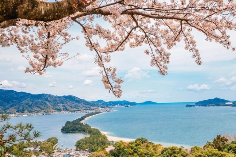 Kyoto: Ine Funaya, Amanohashidate & Miyama Thatched Village Day Tour (Departing from Kyoto) - Ine’s boat houses and working waterfront
