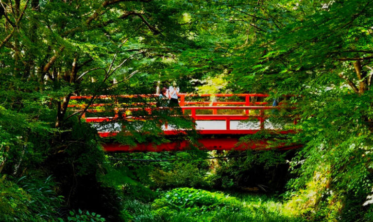 Kyoto: Kifune Shrine & Sanzen-in Temple, Arashiyama Sightseeing Train Experience/Eizan Electric Railway One-Day Trip (Departing from Osaka/Kyoto) - Kifune Shrine: lanterns, steps and water fortunes
