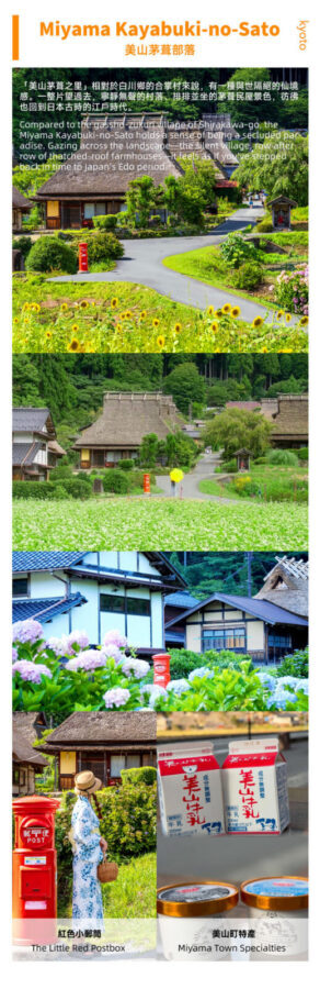 Kyoto Miyama Thatched Village & Amanohashidate & Ine Funaya One-Day Tour [Limited Miyama Water Release Ceremony/Snow Lantern Lighting] | Depart from Osaka - Two hours for Amanohashidate’s sandbar and viewpoints