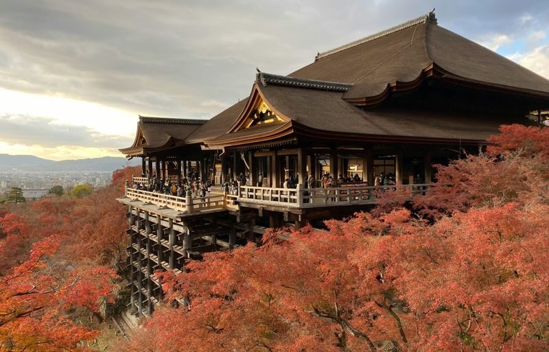 Kyoto & Nara & Amanohashidate 2-Day Tour - Free Shrimp Sticks for Feeding Seagulls (Accommodation Not Included) - What the price includes, and what it doesn’t