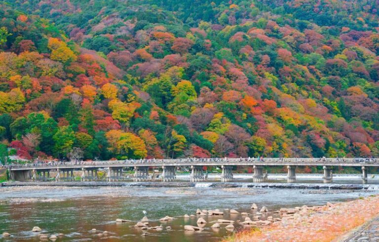 [Kyoto & Nara Day Tour] Sagano Scenic Railway & Nara Park & Fushimi Inari Taisha Thousand Torii Gates & Togetsukyo Bridge & Bamboo Grove & Kimono Forest (Departing from Osaka) - Fushimi Inari: follow the red gates, watch the clock