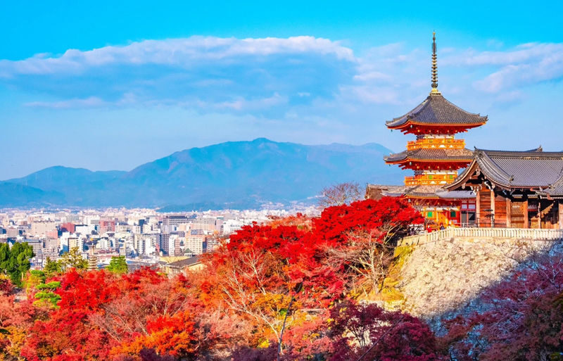 Kyoto Nara Day Trip [with Fried Chicken Set Meal] - Kiyomizu-dera Temple, Fushimi Inari-taisha Shrine, Nara Park, Todai-ji Temple Day Trip (Pick-up available in Osaka and Kyoto) - Walking beneath the torii at Fushimi Inari