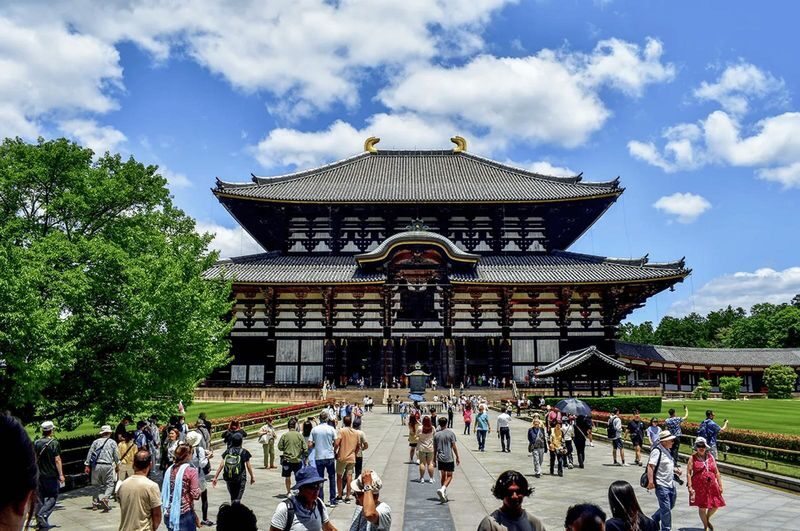 Kyoto & Nara Full-Day Private Tour with Customizable Itinerary - Nara Park: a good reason to include Nara