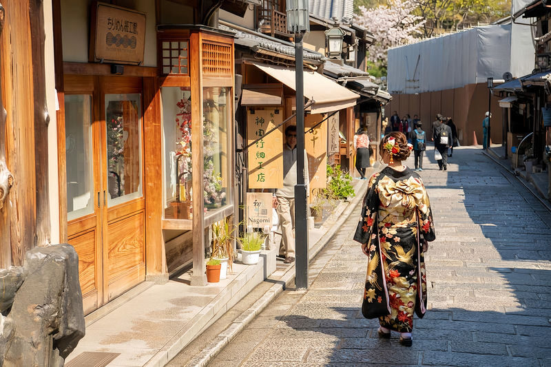 Kyoto & Nara Full-Day Temples & Deer Park Tour - Kiyomizudera and the Kyoto temple stops