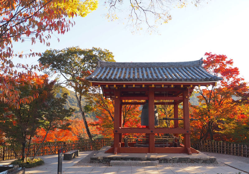 Kyoto Uji Matcha Experience & Nara Private 1-Day Tour - Byodoin: a temple with a familiar face