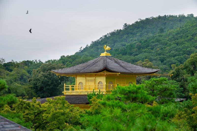 Kyoto & Uji World Heritage One-Day Tour: Kinkaku-ji Temple & Kiyomizu-dera Temple & Byodo-in Temple & Uji Matcha Food Street (Departing from Osaka or Kyoto) - Kinkaku-ji: a quick look at the Golden Pavilion